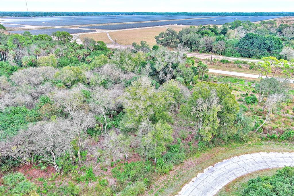 An aerial view shows a wooded lot adjacent to a paved road and solar farm — 173 CAROUSEL AVENUE, LABELLE, FL