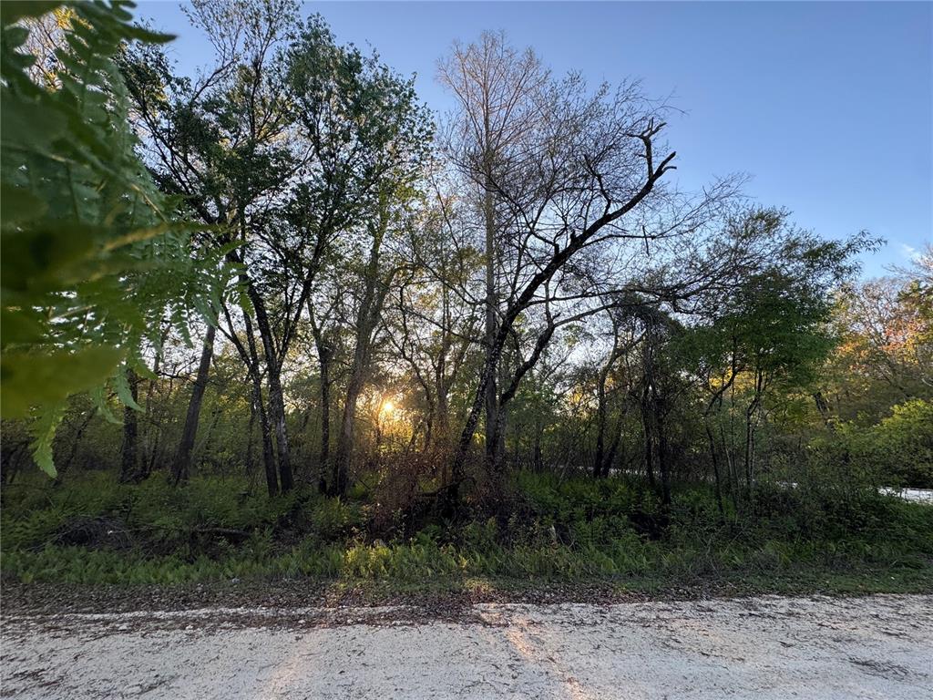 COCKLEBERRY DR, WEBSTER, FL — photo 2 of 2