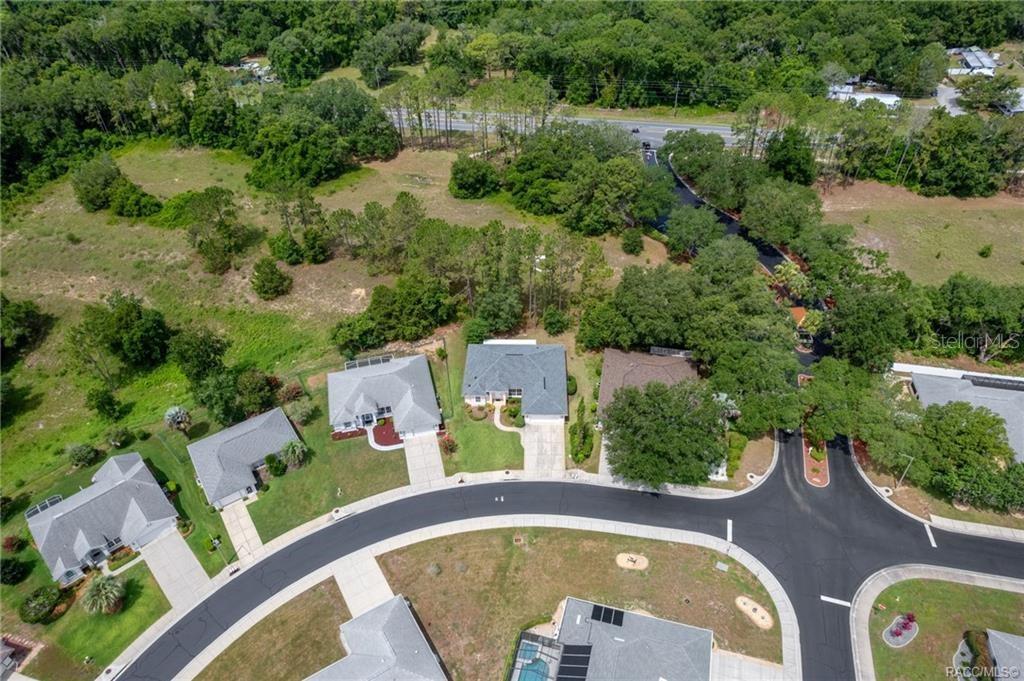 An aerial view shows several suburban houses with driveways along a curved asphalt road — 3556 E COVE PARK TRAIL, HERNANDO, FL
