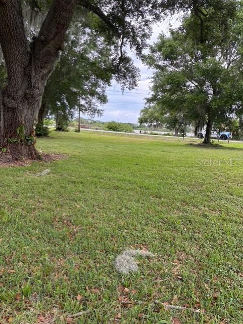 A grassy, tree-shaded lot viewed from the foreground looking toward a distant road — 3799 AVENUE T NW, WINTER HAVEN, FL