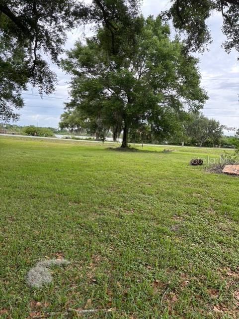 A grassy, open lot features a large, mature tree under a cloudy sky — 3799 AVENUE T NW, WINTER HAVEN, FL