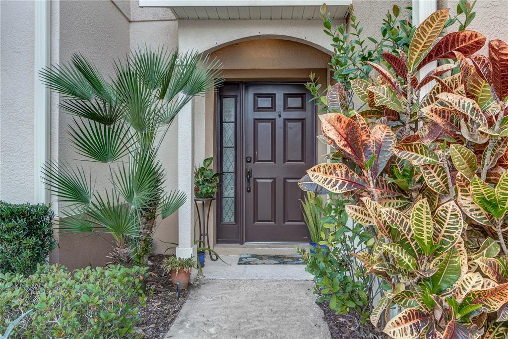 558 PINEBRANCH CIRCLE