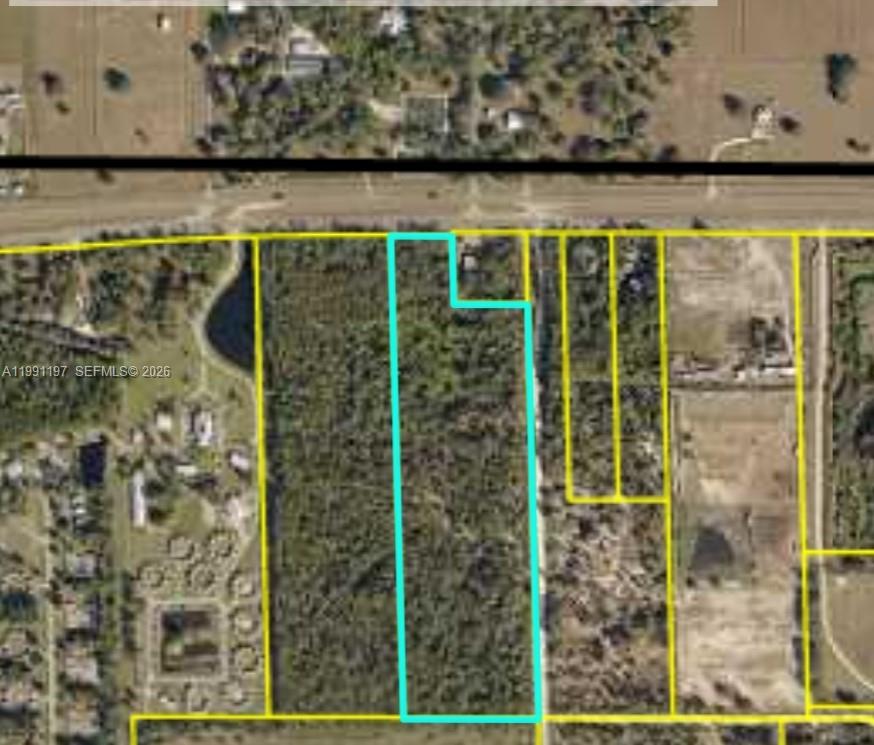 This aerial map shows a rectangular parcel of land outlined in light blue — 12305 E SR 80, Clewiston FL 33440, CLEWISTON, FL
