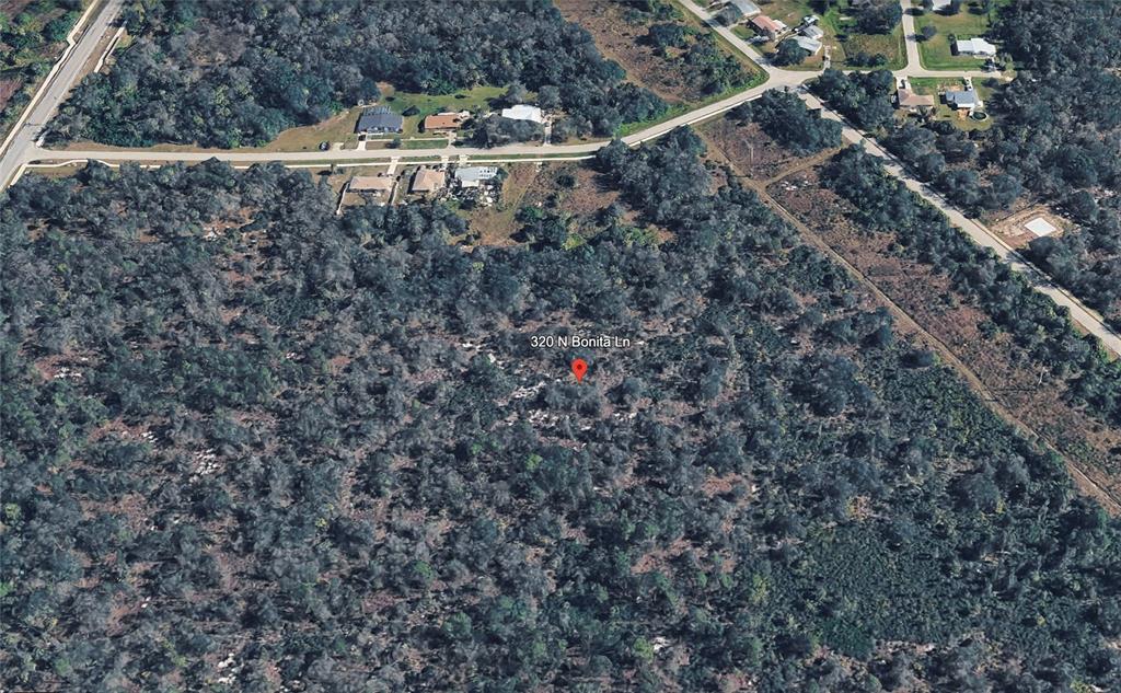 An aerial map view shows a wooded lot marked with a red location pin — 320 N BONITA LANE, PUNTA GORDA, FL