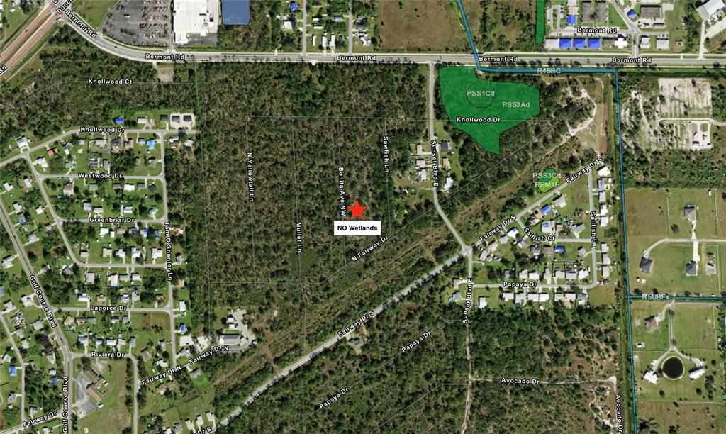 This is an aerial map showing a red star marking a property location among vegetation — 320 N BONITA LANE, PUNTA GORDA, FL