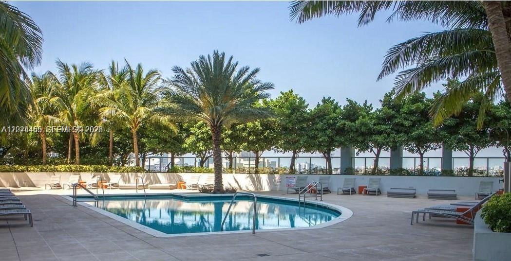 An outdoor swimming pool surrounded by lounge chairs and palm trees on a sunny day — 1900 N Bayshore Dr # 2415, Miami FL 33132, MIAMI, FL