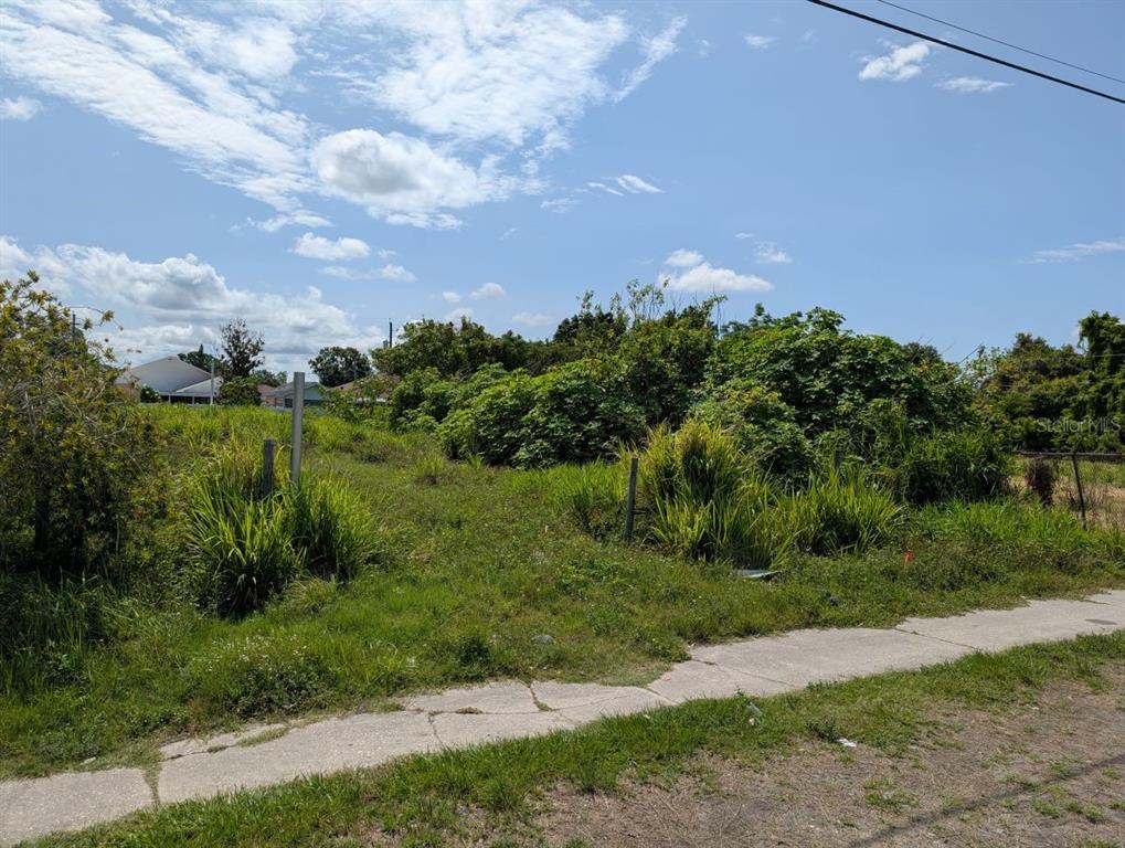 A vacant, grassy residential lot features a concrete sidewalk and overgrown vegetation under a blue sky — 7007 N MANHATTAN AVENUE, TAMPA, FL