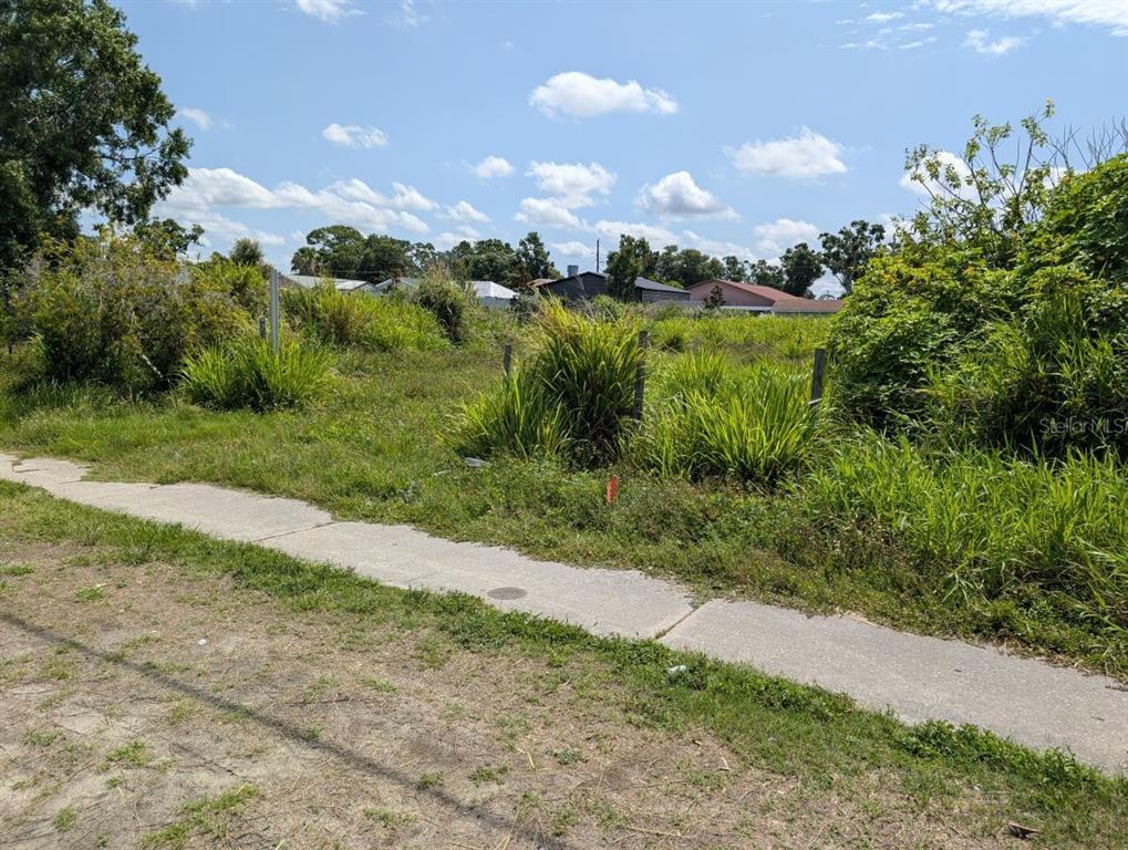 An overgrown vacant lot with a concrete sidewalk in the foreground under a blue sky — 7007 N MANHATTAN AVENUE, TAMPA, FL