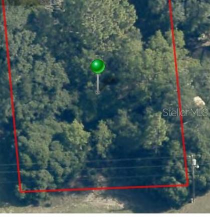 This is an aerial view of a wooded lot outlined in red with a location pin — 2059 W PARAGON LANE, CITRUS SPRINGS, FL