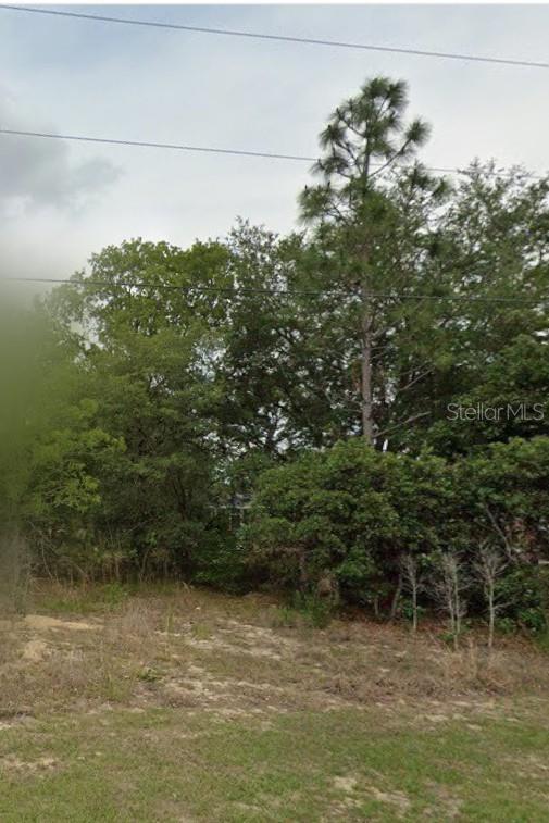 A vacant, grassy lot features a dense cluster of trees and overhead utility lines — 2059 W PARAGON LANE, CITRUS SPRINGS, FL