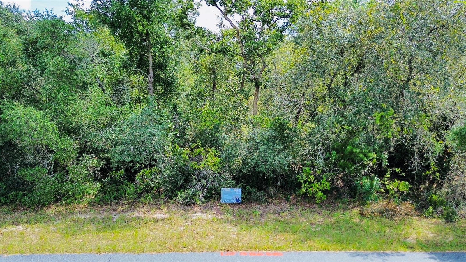 A wooded lot with a for sale sign sits behind a paved road — Tbd SW 37th Avenue, Ocala FL 34473, OCALA, FL