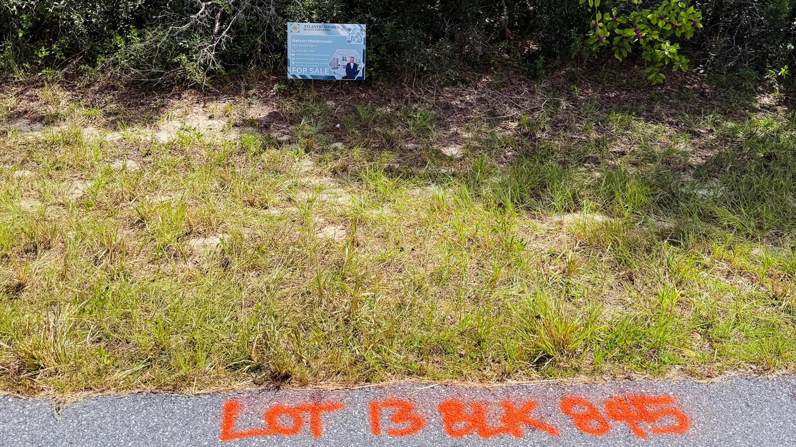A vacant, grassy lot features a real estate sign and orange paint on the asphalt — Tbd SW 37th Avenue, Ocala FL 34473, OCALA, FL