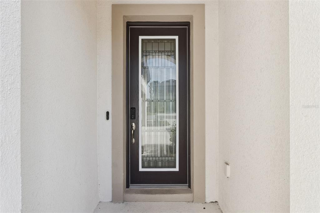 A dark brown front door with a decorative glass insert is set in a white wall — 14825 PADDOCK POND AVENUE, LITHIA, FL