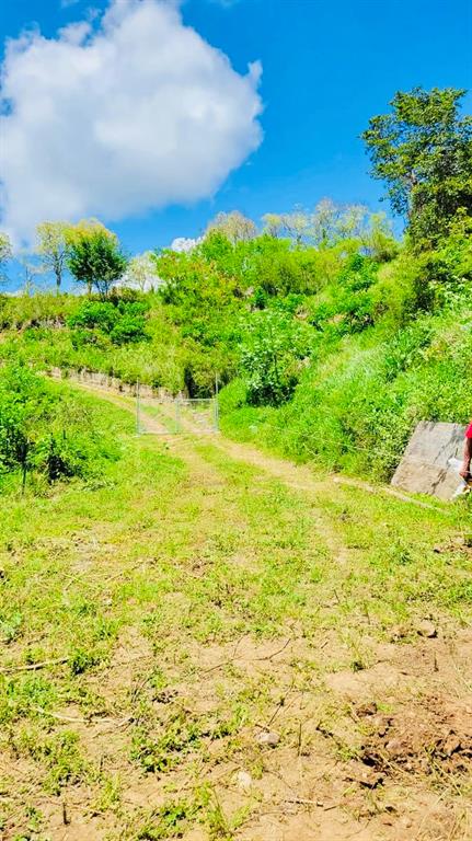 A dirt path leads toward a wire fence and gate on a grassy, sloped hillside — 14 ROUTE UNIT KM 41.0, COAMO, PR