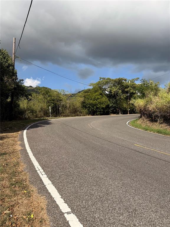 A paved road curves through a rural landscape with trees and a cloudy sky — 14 ROUTE UNIT KM 41.0, COAMO, PR