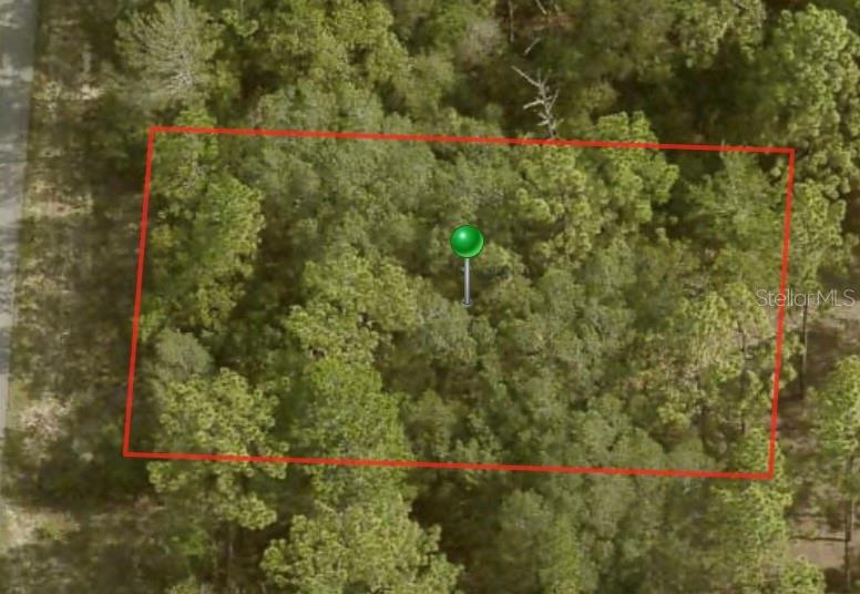 This is an aerial view of a wooded, rectangular plot of land outlined in red — 3656 W PARKVIEW DRIVE, CITRUS SPRINGS, FL