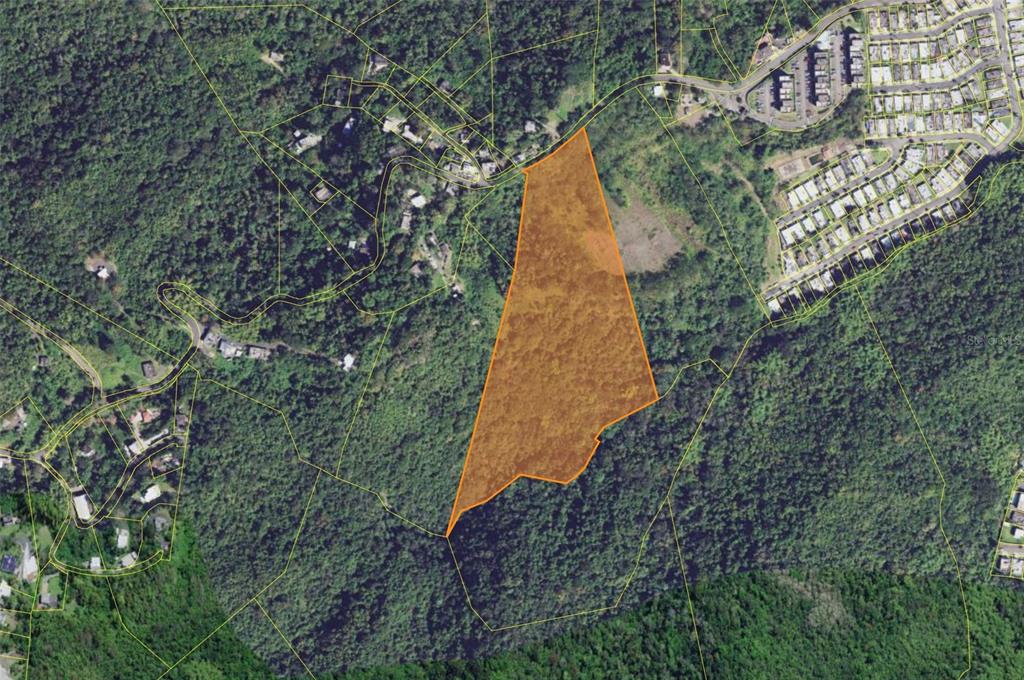 An aerial view shows a highlighted parcel of undeveloped land surrounded by dense forest — PR 7784 Km 1.0 TURABO, CAGUAS, PR