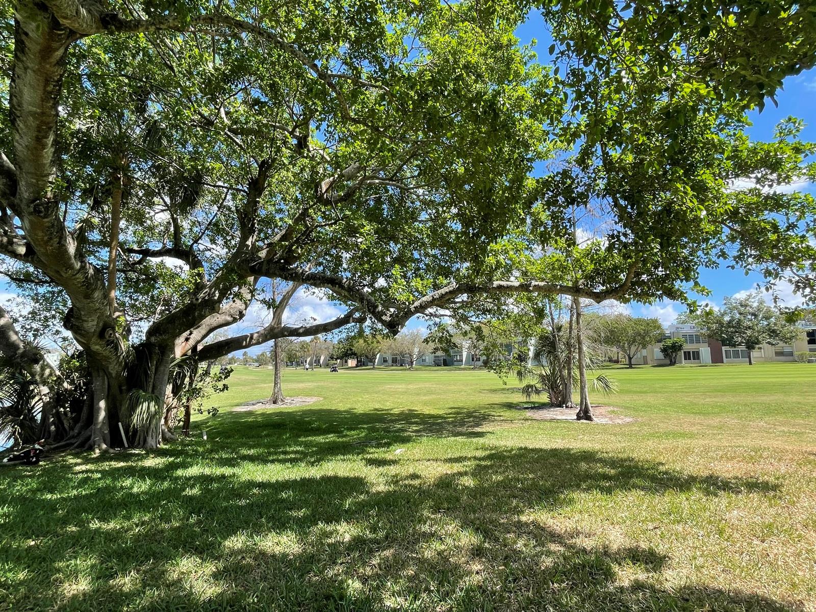A large tree shades a grassy lawn with residential buildings in the background — 7460 NW 18th Street # 104, Margate FL 33063, MARGATE, FL