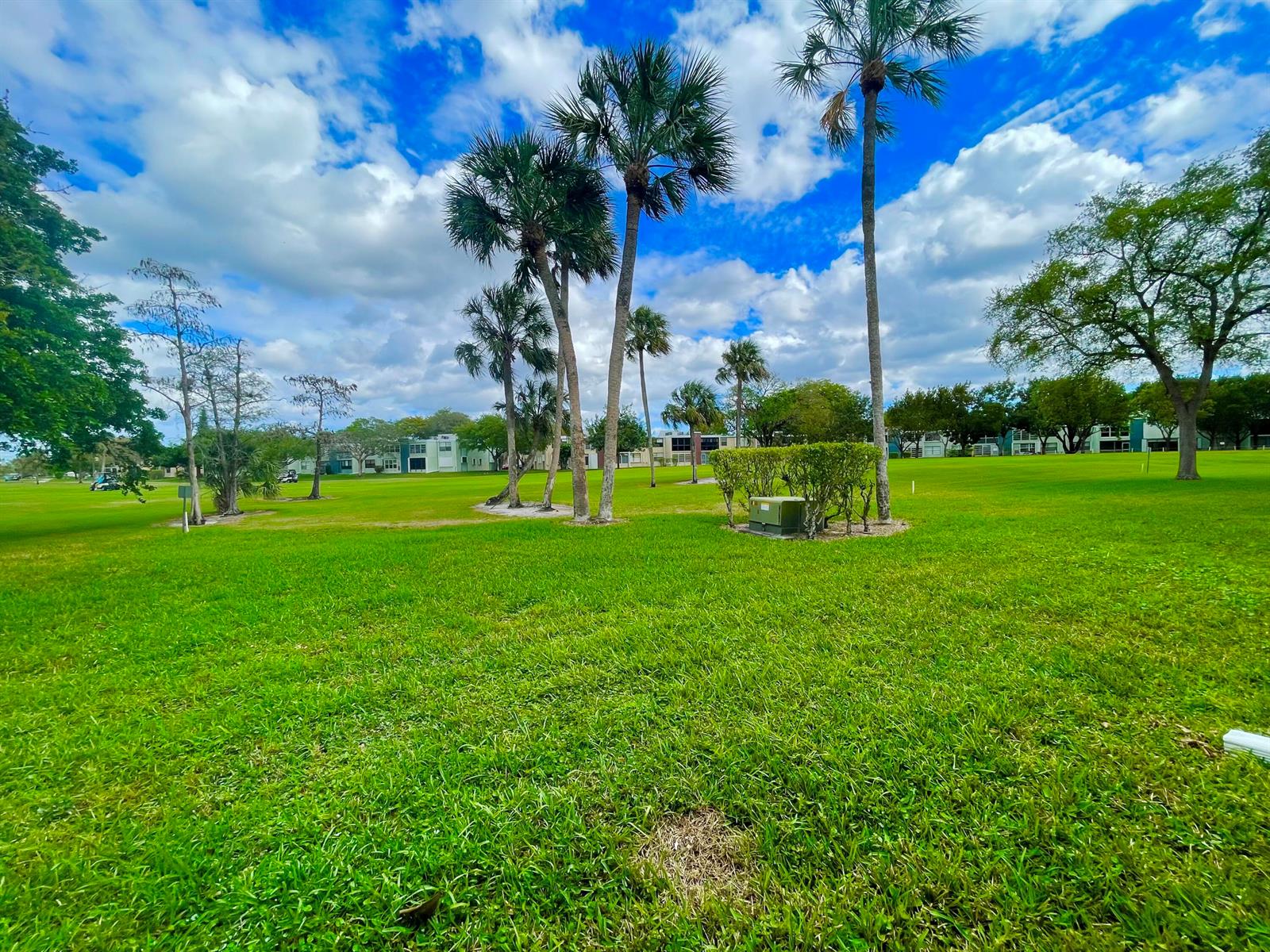 A wide, grassy lawn features several palm trees and a utility box under a cloudy sky — 7460 NW 18th Street # 104, Margate FL 33063, MARGATE, FL