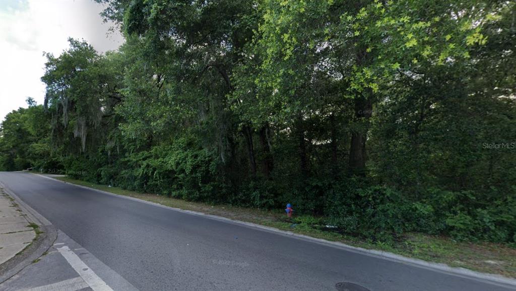A paved road runs alongside a dense, wooded lot with a fire hydrant — Lot 10 NW 20TH AVENUE, OCALA, FL