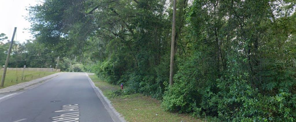 A paved road runs alongside a wooded lot with a fire hydrant and utility pole — Lot 10 NW 20TH AVENUE, OCALA, FL