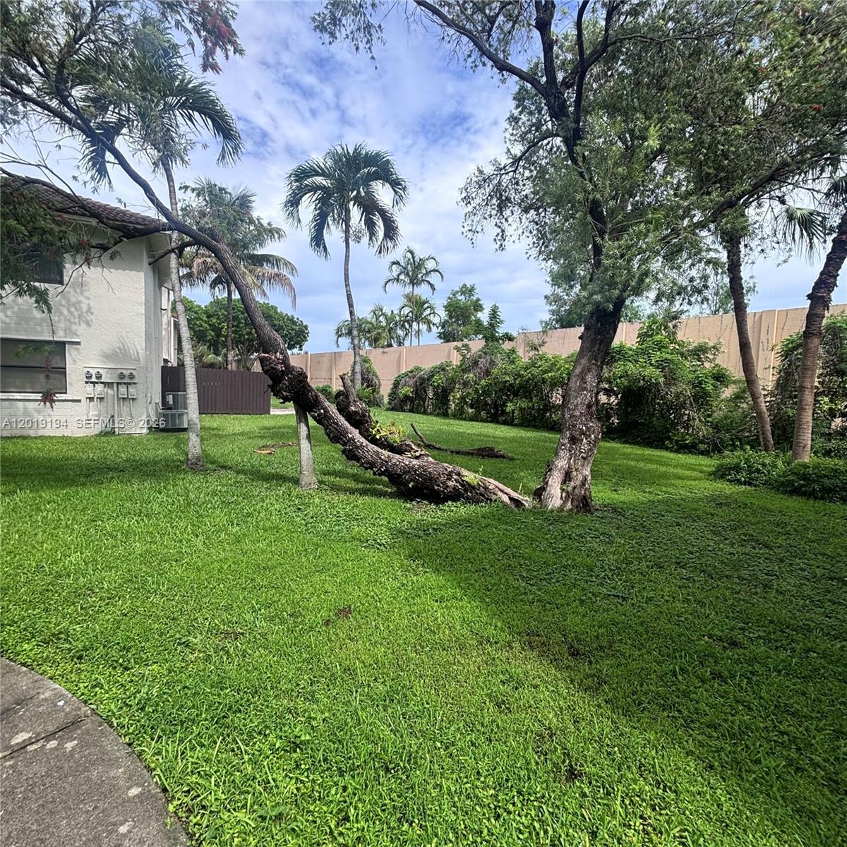 A large tree trunk lies horizontally across a grassy backyard near a residential building — MIAMI, FL