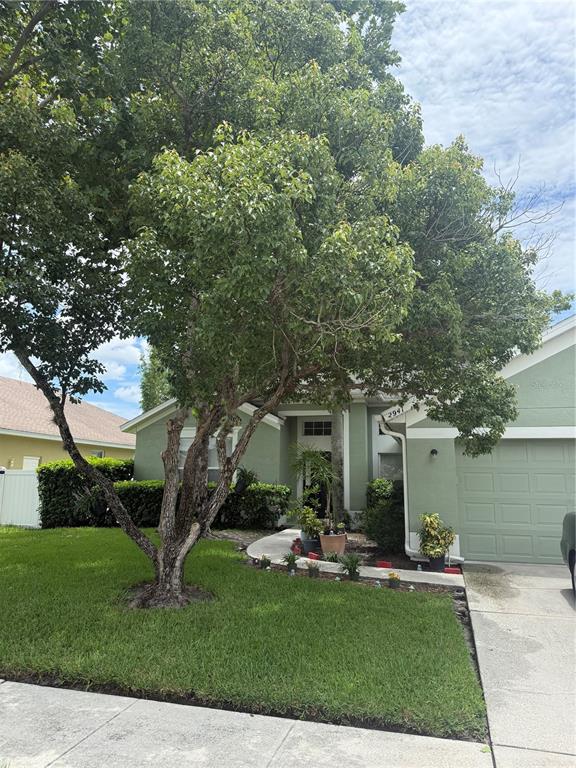 A green single-story house features a large tree in the front yard and a driveway — 2941 MAPLE GROVE PLACE, OVIEDO, FL