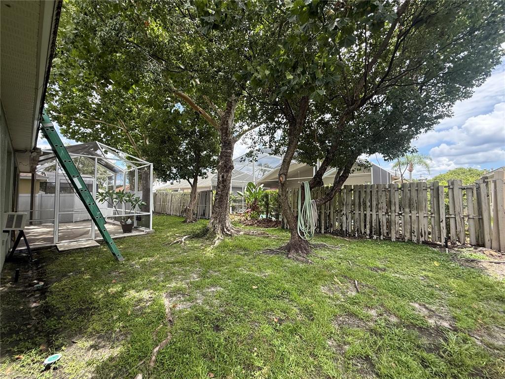 A backyard features a green ladder, two large trees, and a white screen enclosure — 2941 MAPLE GROVE PLACE, OVIEDO, FL