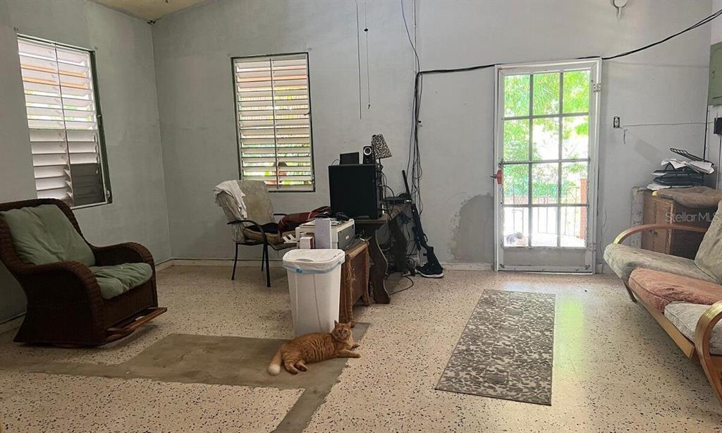 A living room with a tiled floor, two chairs, a sofa, and an orange cat — 12 Carr 993 DESTINO, VIEQUES, PR