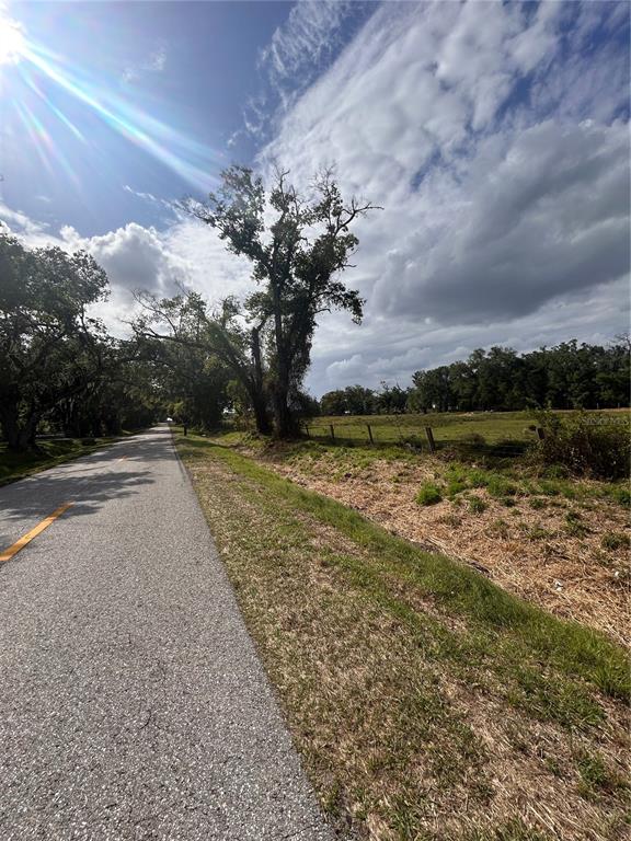 WASHINGTON STREET, ARCADIA, FL — photo 4 of 9