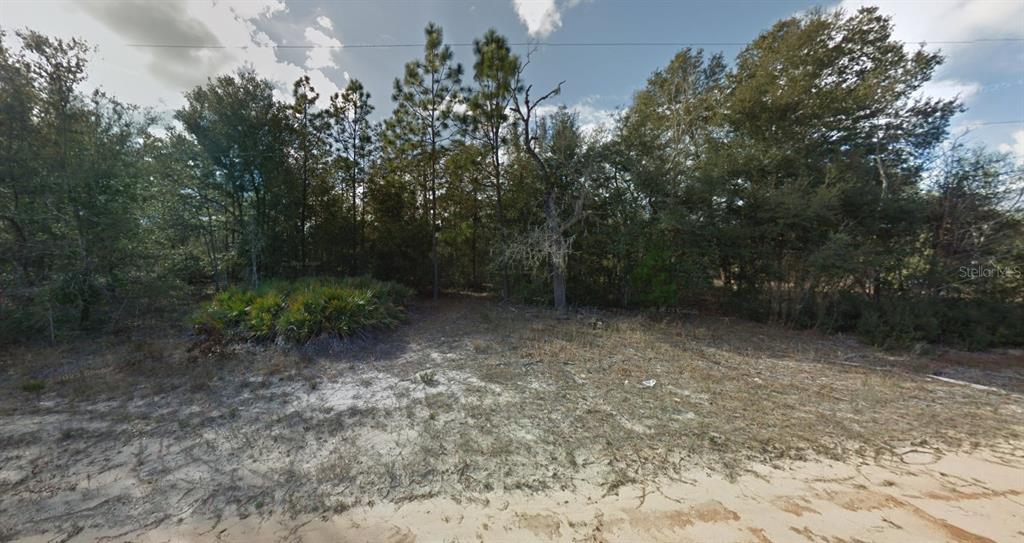 LUDLOW STREET, INTERLACHEN, FL — photo 3 of 4
