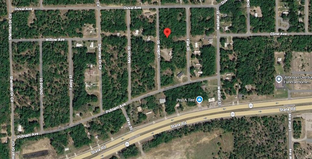 This is a satellite map view showing a wooded area with a red location pin — LUDLOW STREET, INTERLACHEN, FL