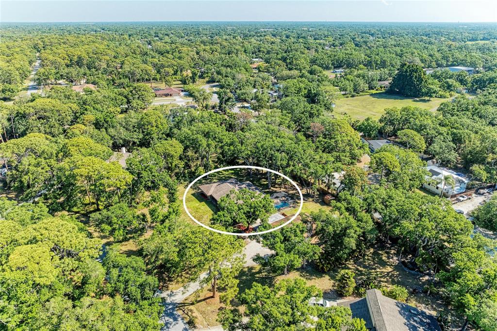 4328 LOST FOREST LANE