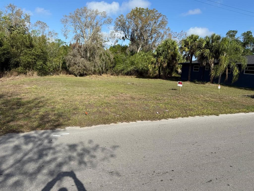 228 SINGLETON AVENUE, ARCADIA, FL — photo 3 of 7