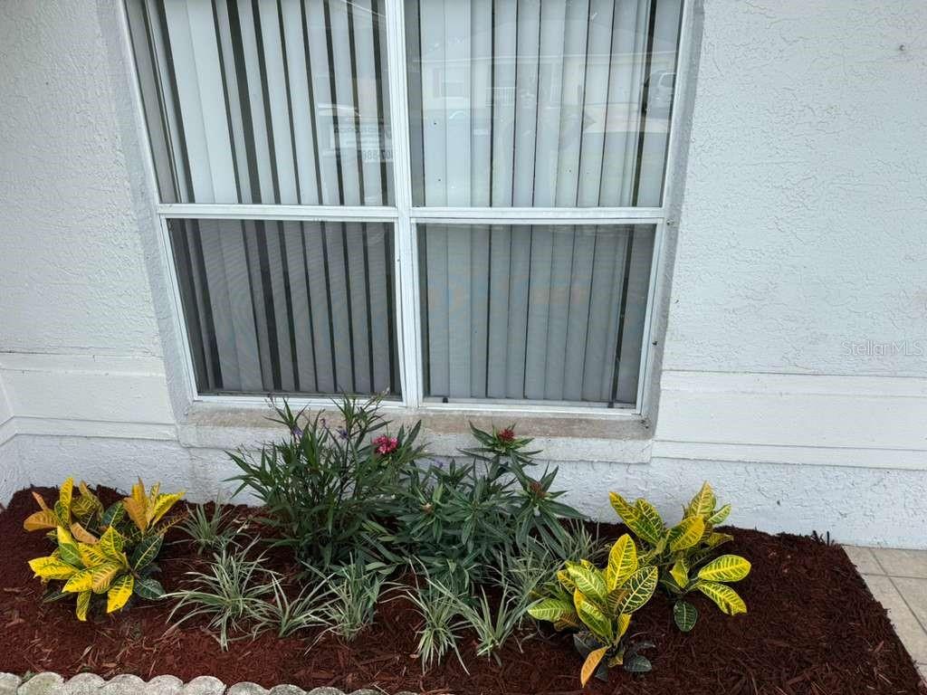 An entryway with gray wood-look flooring, a white front door with glass, and arched windows — 657 MCKINLEY COURT, KISSIMMEE, FL