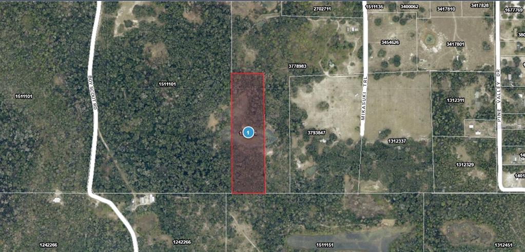 An aerial map view shows a rectangular plot of land highlighted in red — MIKASUKI TRAIL, PAISLEY, FL