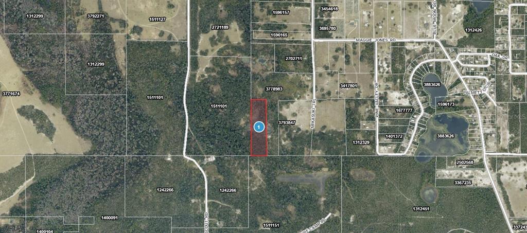 This is an aerial map showing a rectangular property parcel highlighted in red — MIKASUKI TRAIL, PAISLEY, FL