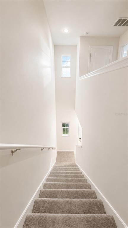 A carpeted staircase leads down between two white walls with a handrail and two windows — 9094 GALLANTREE PLACE, LAND O LAKES, FL