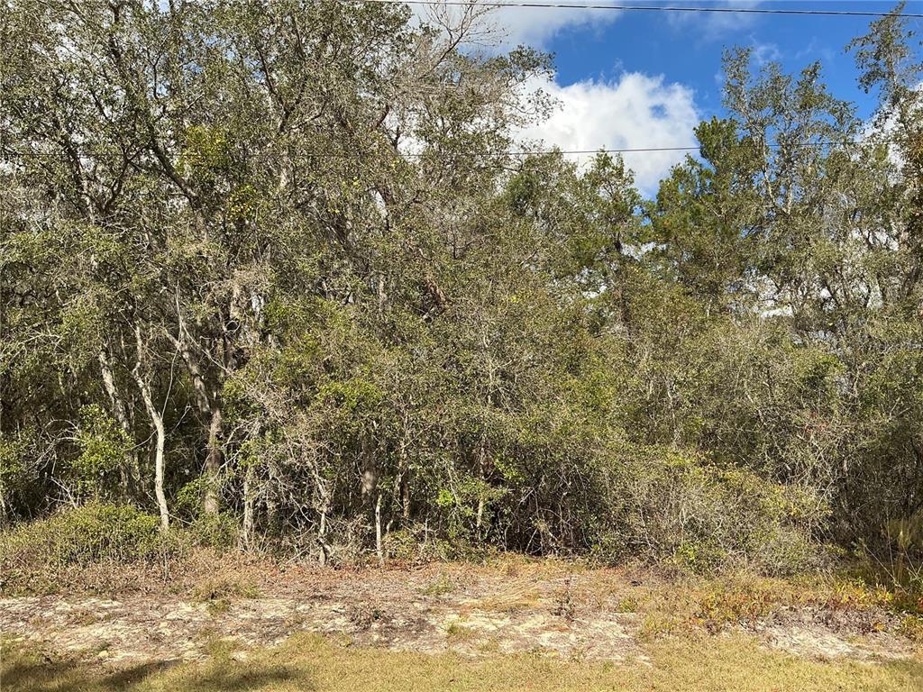 LOT 8 FISHER TRACE