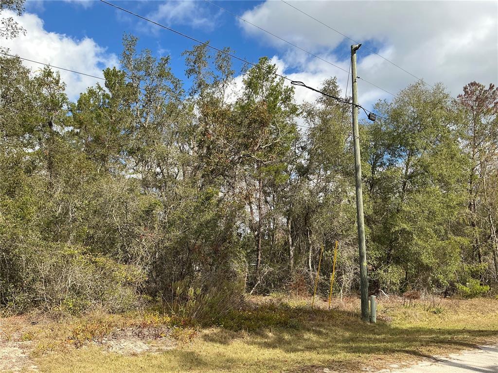 A wooded, undeveloped lot features a utility pole and overhead power lines under a blue sky — LOT 8 FISHER TRACE, OCKLAWAHA, FL