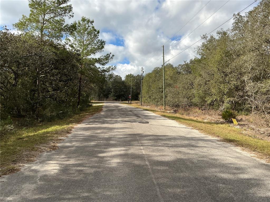 A paved road stretches through a wooded area with utility poles lining the side — LOT 8 FISHER TRACE, OCKLAWAHA, FL