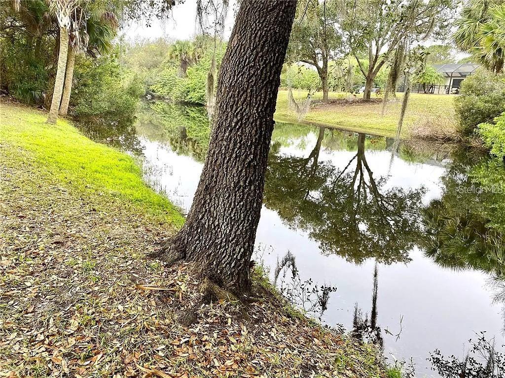 A large tree trunk stands on a grassy bank overlooking a calm, reflective canal — ARLEY ROAD, NORTH PORT, FL