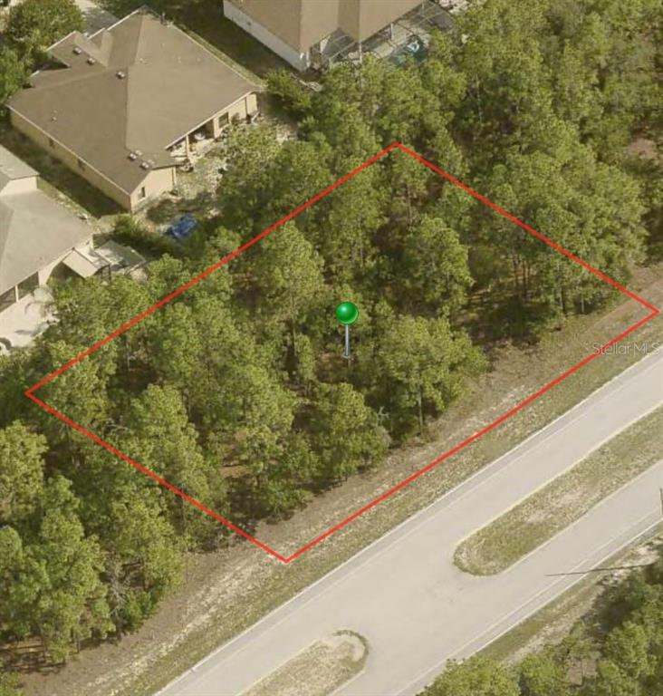 An aerial view shows a wooded, rectangular vacant lot outlined in red next to a road — 9206 N CITRUS SPRINGS BOULEVARD, CITRUS SPRINGS, FL