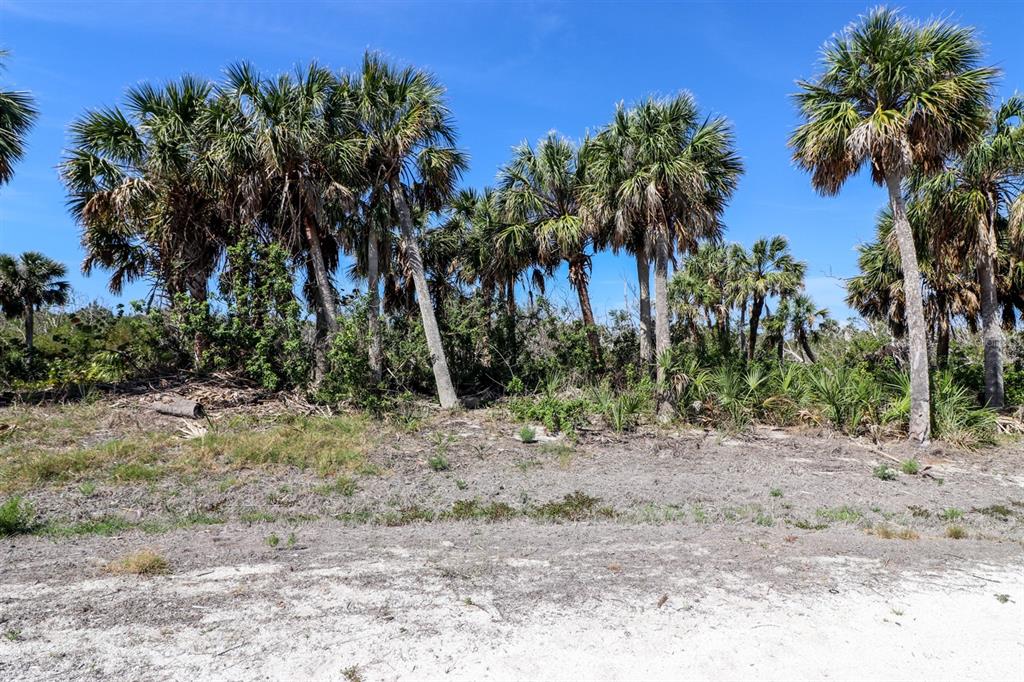 6160 RUM COVE DRIVE, PLACIDA, FL — photo 5 of 24