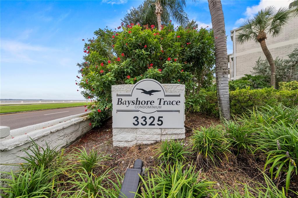 3325 BAYSHORE BOULEVARD UNIT C11