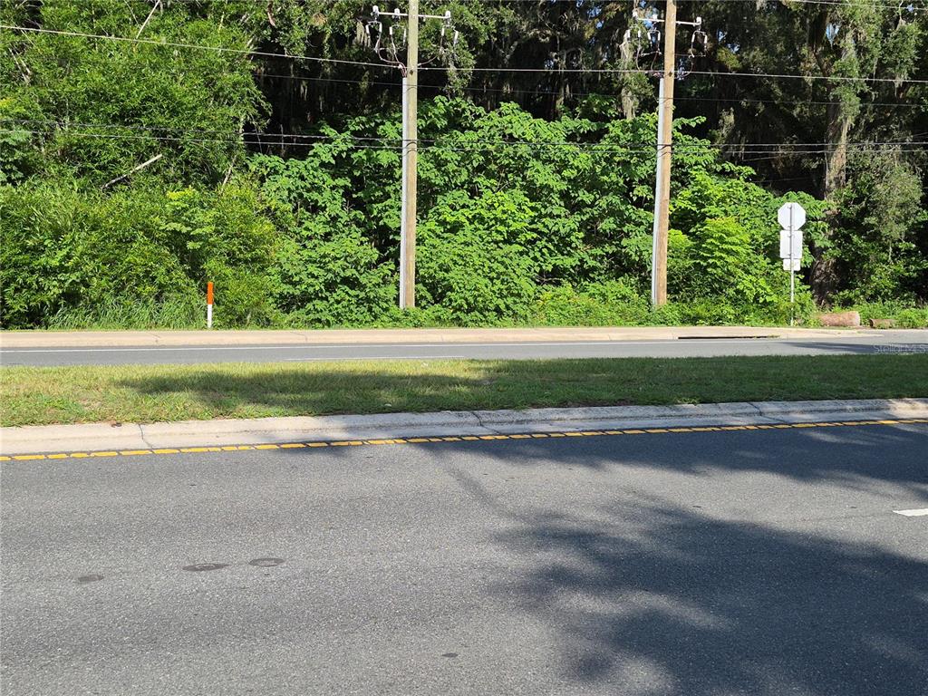 A paved road runs in front of a grassy verge and a wooded area with utility poles — 12267 N US HIGHWAY 301, OXFORD, FL