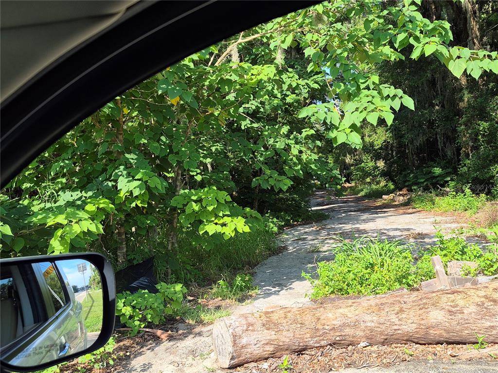 A view from a vehicle shows a paved driveway leading into a wooded area — 12267 N US HIGHWAY 301, OXFORD, FL