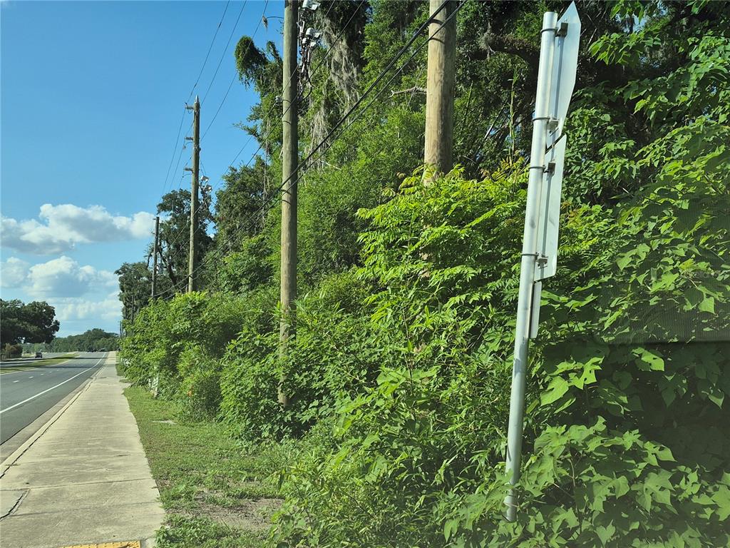 A sidewalk runs alongside a road with utility poles and dense vegetation — 12267 N US HIGHWAY 301, OXFORD, FL