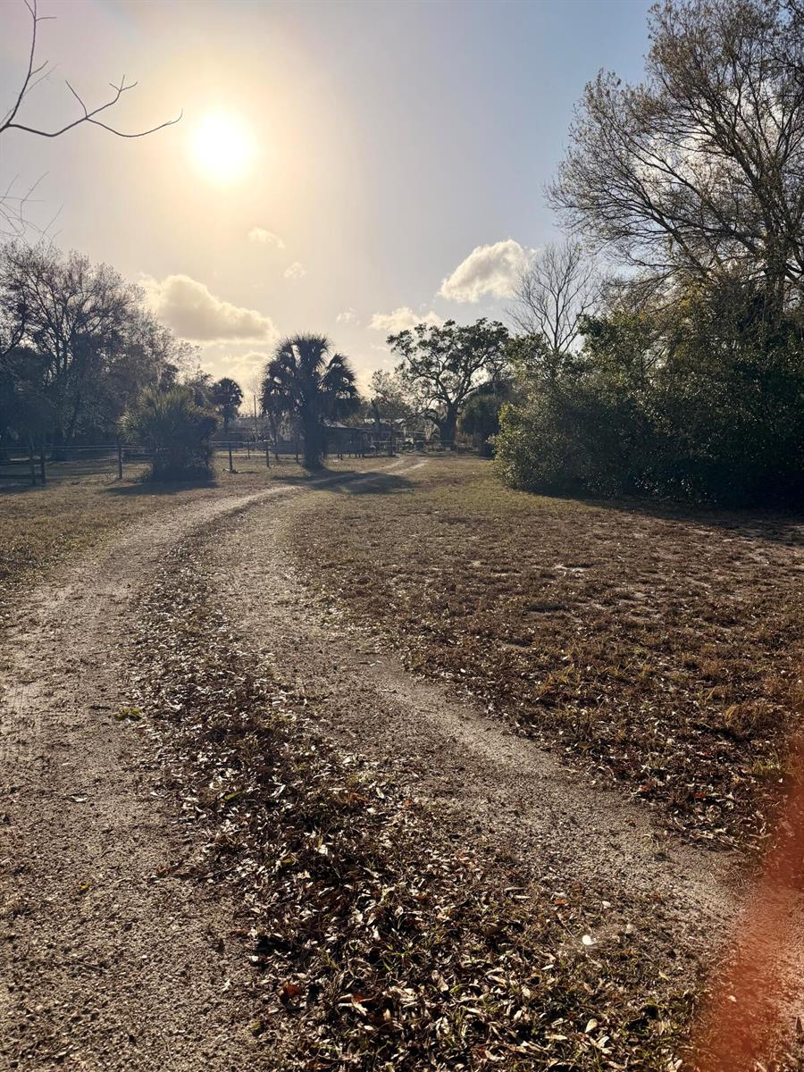 A dirt path leads through a grassy field toward trees and a distant house — 1907 NE 308th Street, Okeechobee FL 34972, OKEECHOBEE, FL