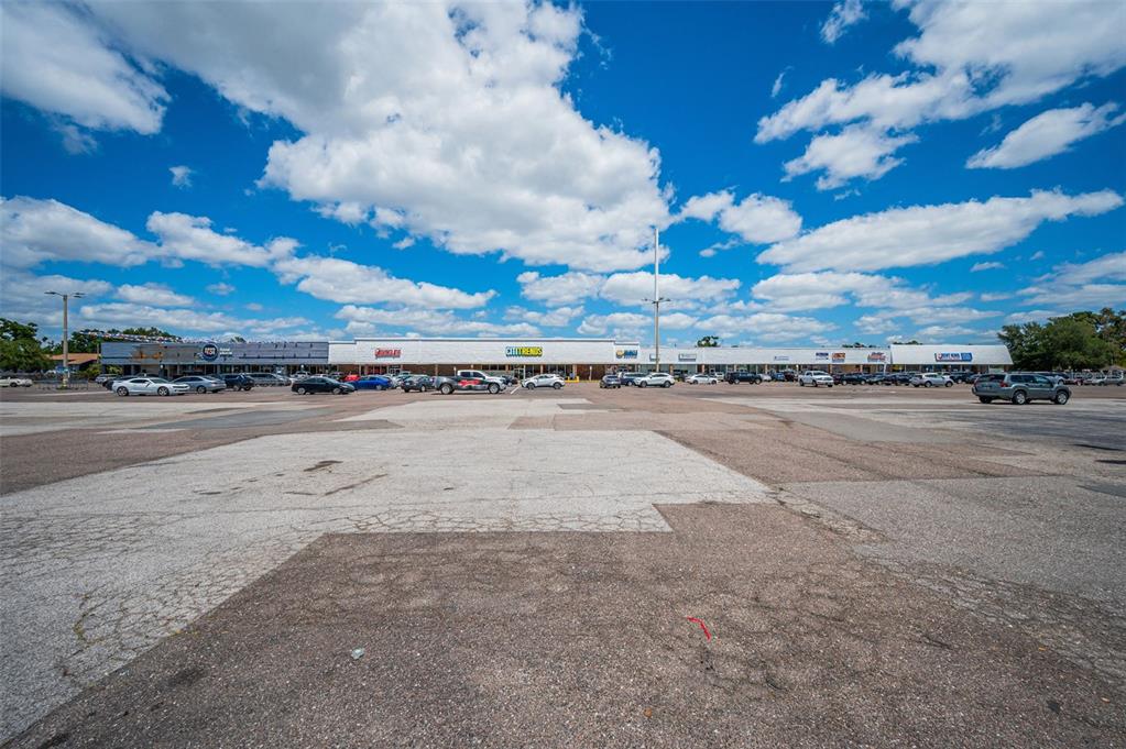 A wide-angle view of a strip mall with a large, paved parking lot — 7430 PALM RIVER ROAD, TAMPA, FL